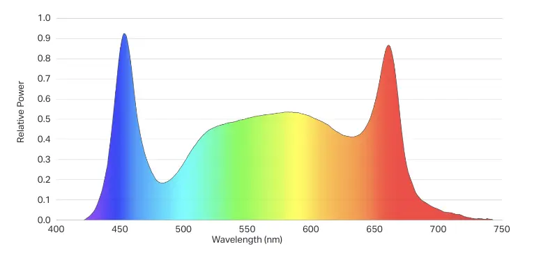 BIOS Solution to Lighting