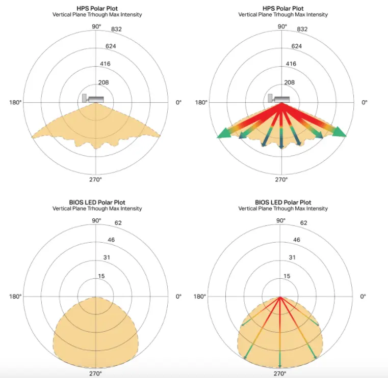 Light levels on plant growth