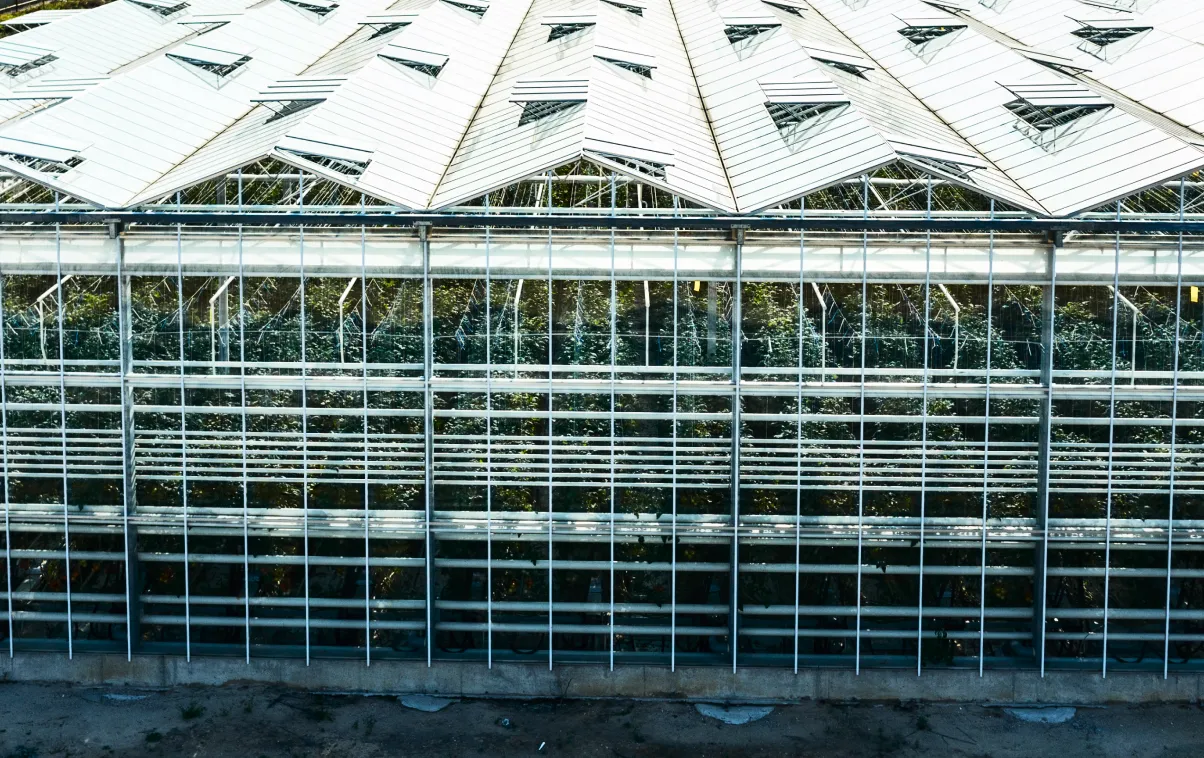 greenhouse
