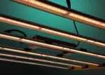 bios bridge