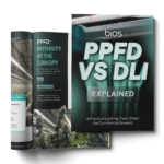 PPFD vs. DLI Explained